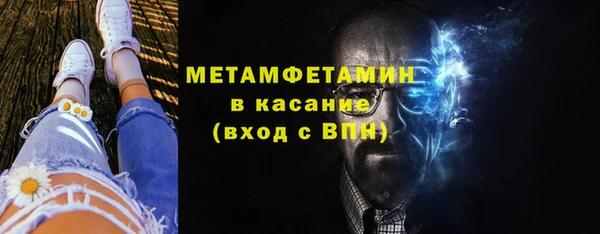 прущие грибы Елизово