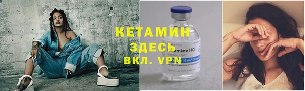 прущие грибы Елизово