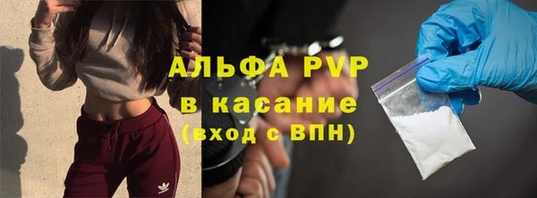 прущие грибы Елизово