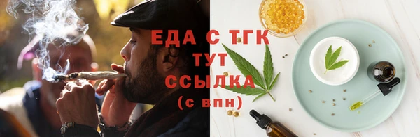 прущие грибы Елизово