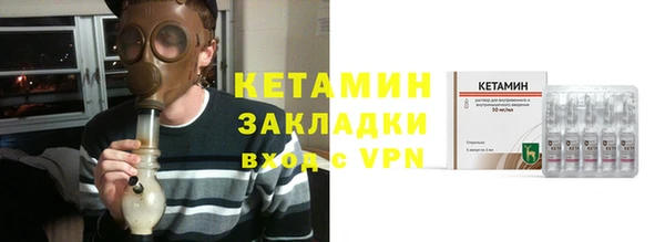 прущие грибы Елизово