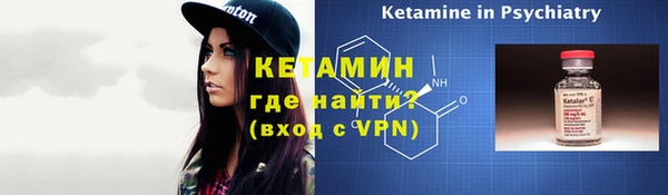 прущие грибы Елизово
