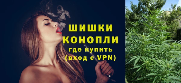 гидропоника Ельня