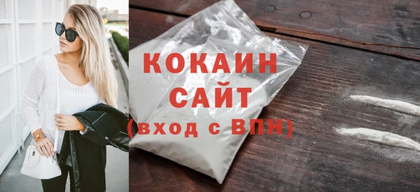 прущие грибы Елизово