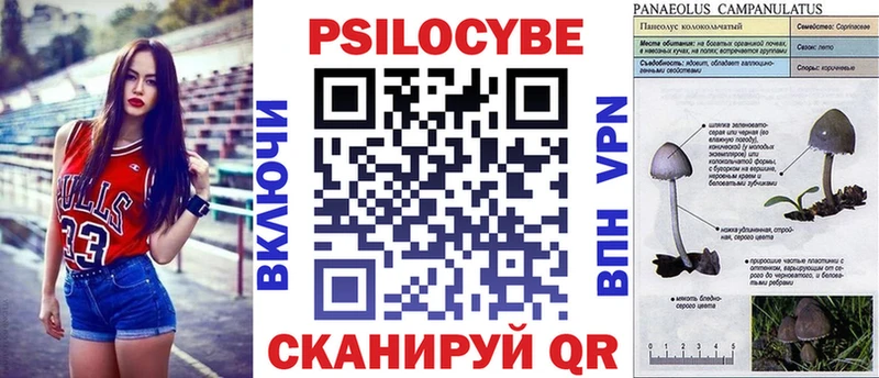 Купить закладки  Чёрмоз  Псилоцибиновые грибы Cubensis 